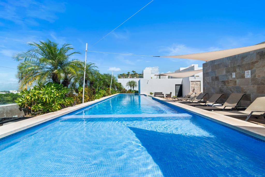 Cozy & New 2BR Rooftop, Central, 10min to beach - 4