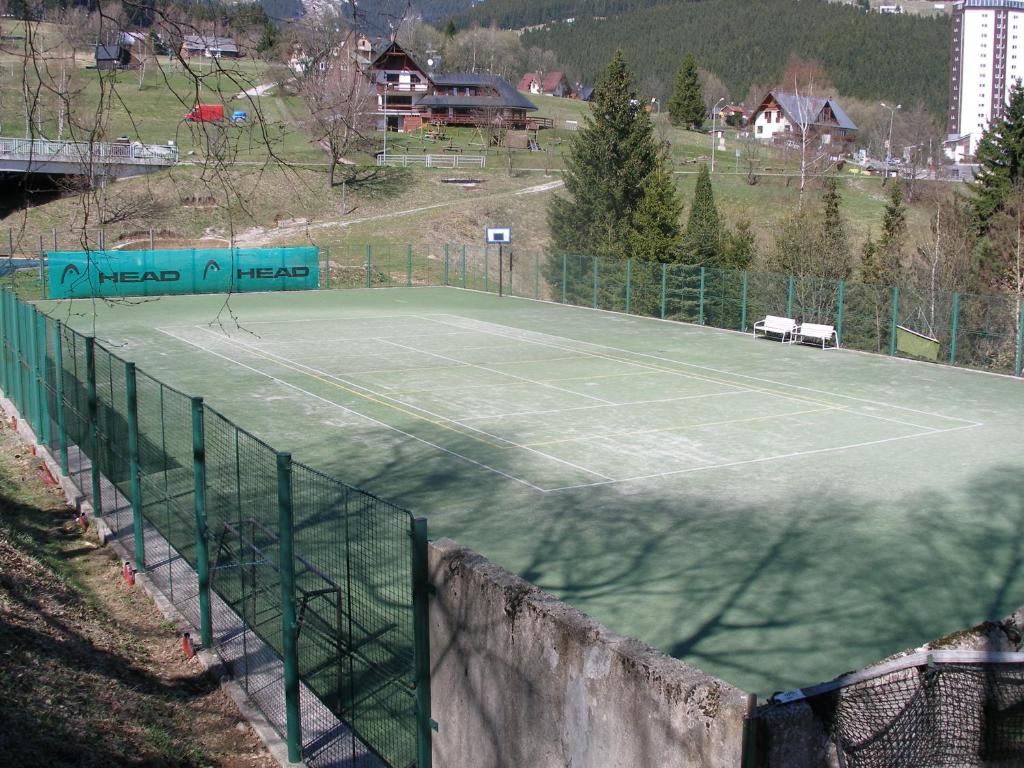Tennis court