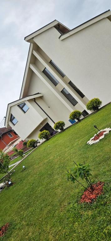 Javor, Bajina Bašta