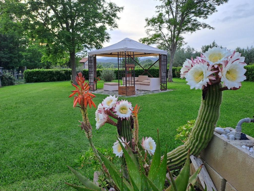 Lo Stucchio, Monterotondo