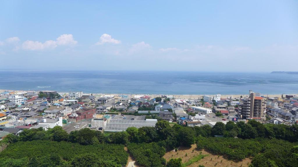 전망