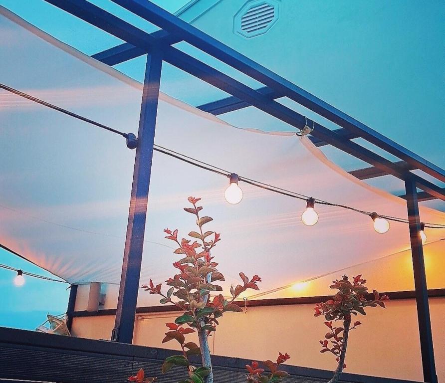 양양도원 YangYangDoone, Jangjang