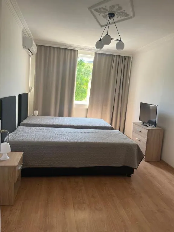Apartment Tzankov，位于维丁的酒店