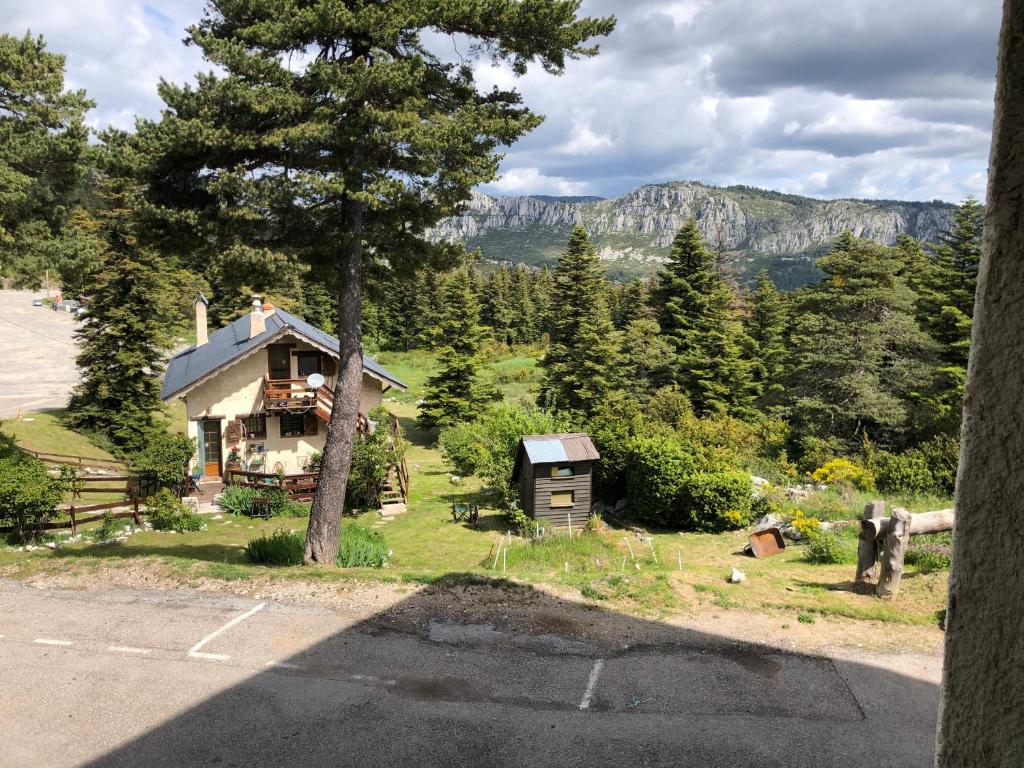 La catane - 2