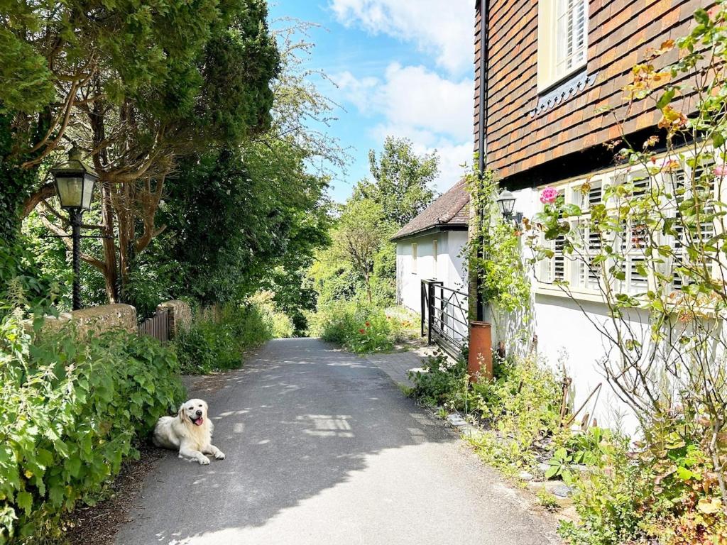 The Stables at The Forge - Self Contained Guest House on S Downs Way, nr Brighton, Pyecombe