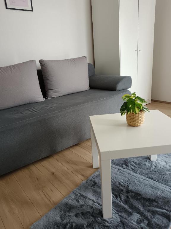 Apartmani Kale - 5