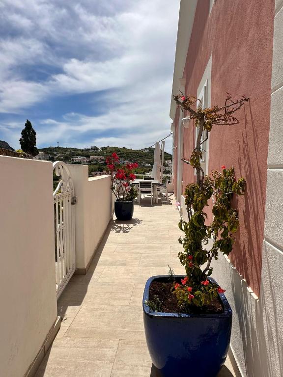 Turistcasa - Gitti House - - 4