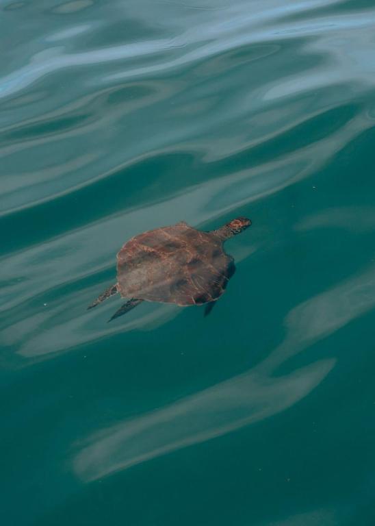 Sports and activities