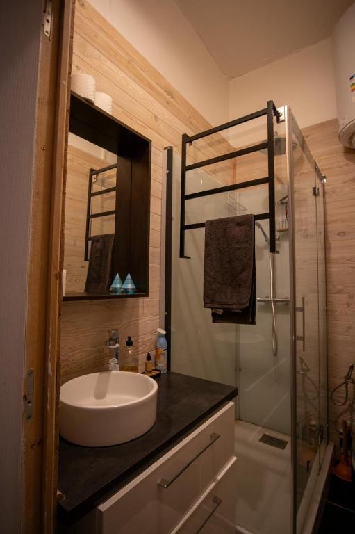 Duplex cosy-Wifi-Parking-Netflix-Lyon 9 - 5
