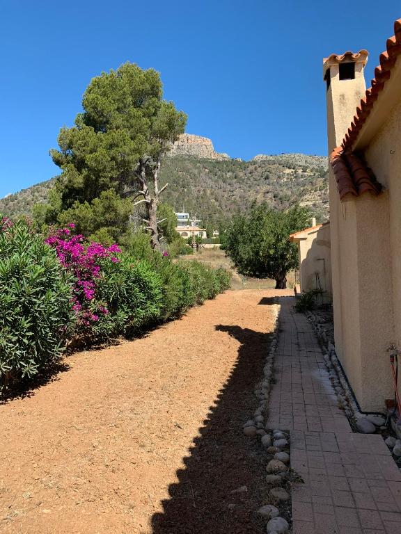 Casa Inge - 5
