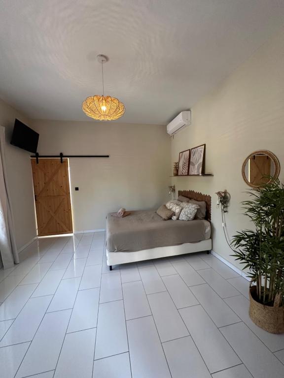 Palm View, Willemstad