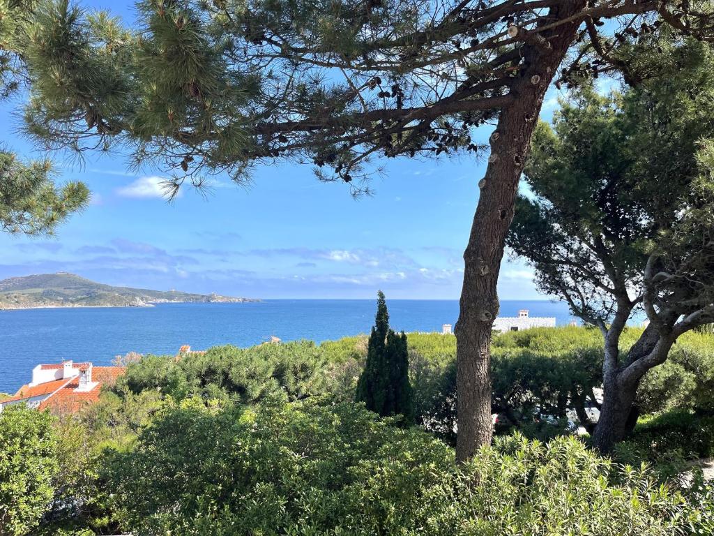 Maison paisible entre mer et montagne à Banyuls-sur-Mer - FR-1-309-515 - 2