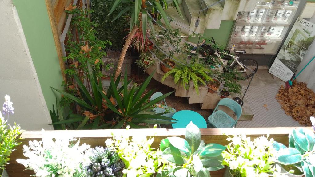 Vintage monoambiente - 2