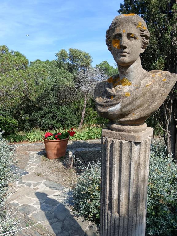 Isla Privada en Cadaqués de ensueño con 11 habitaciones dobles con baño privado y piscina - 3