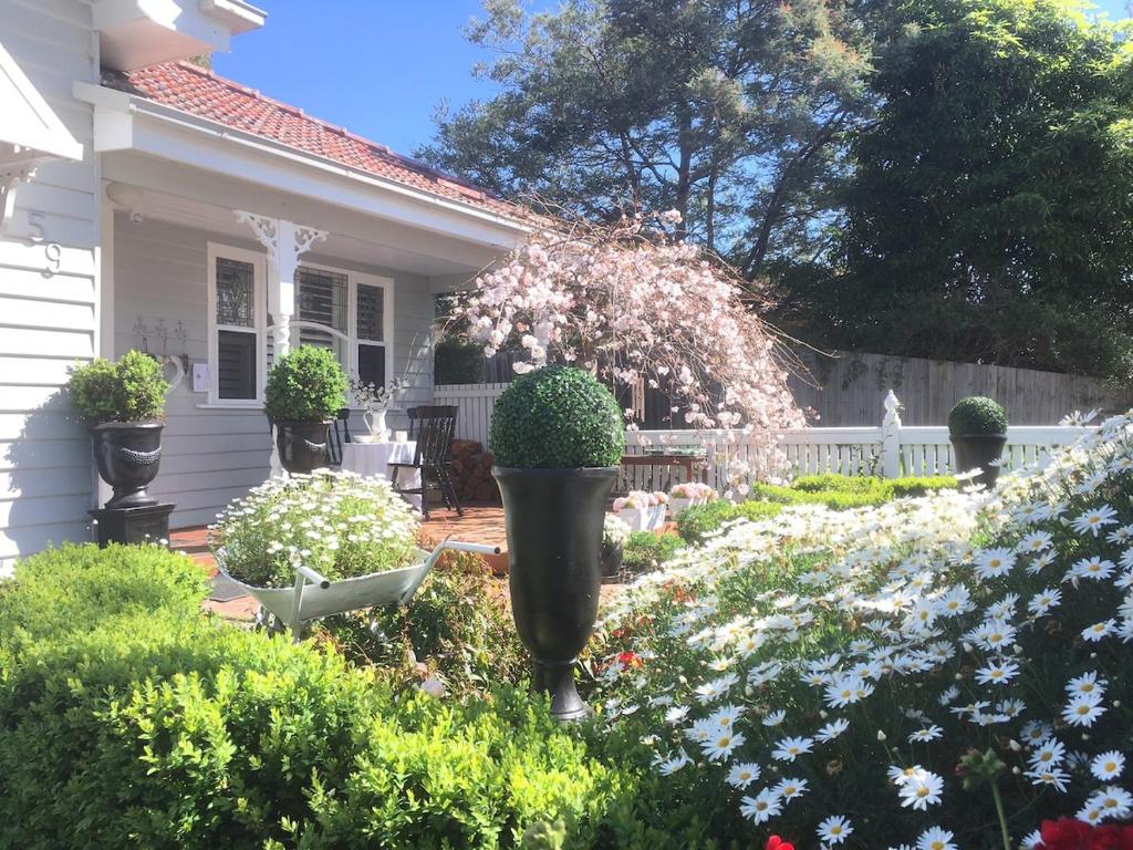 Studio 59 Newport sleeps1, Newport