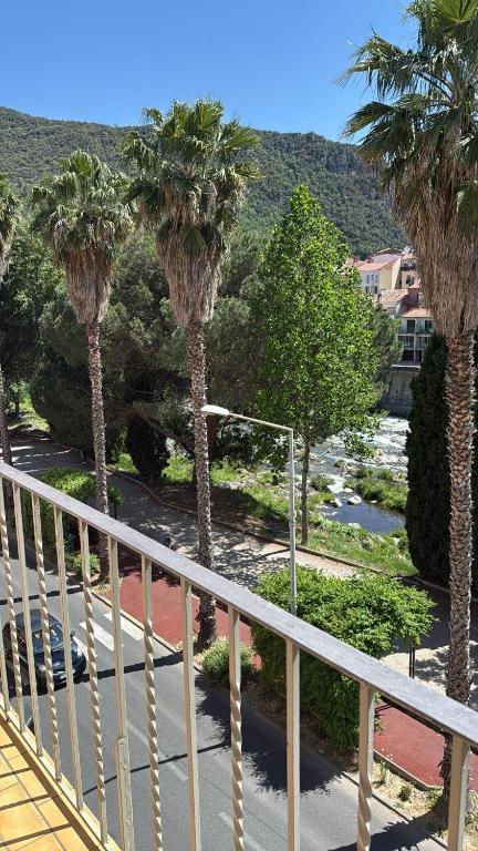 Grand T3 Balcon vue sur Rivière, Amélie-les-Bains-Palalda