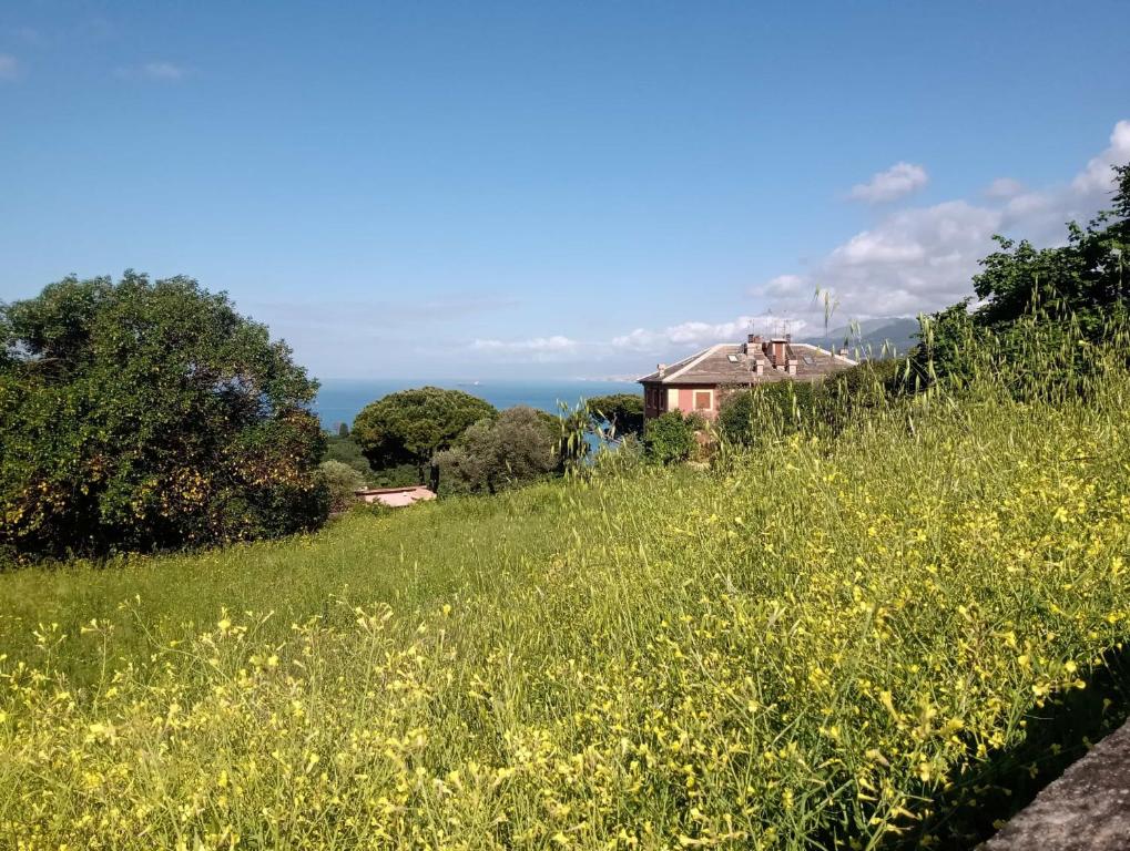 B&B Casa Ninni - 5