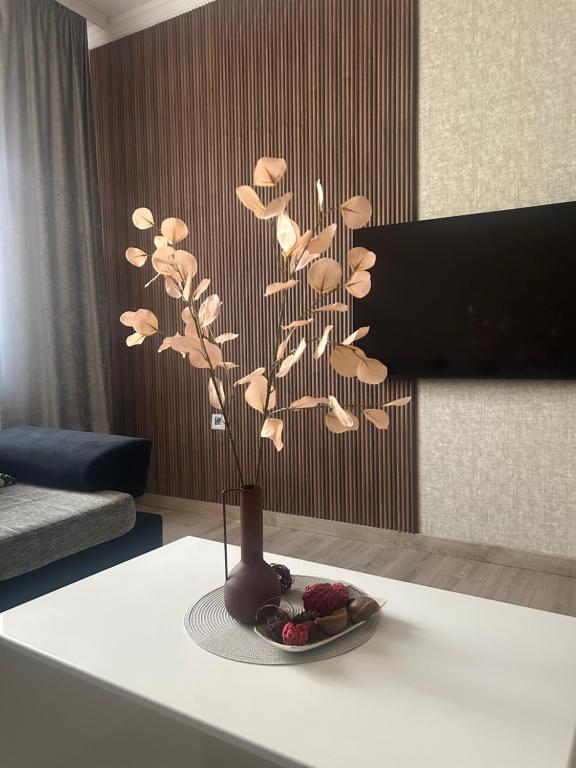 Apartman Tara - 4