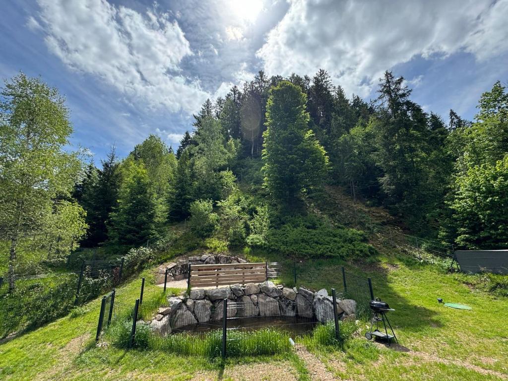 Chalet du saut de la bourrique, plain-pied, SPA couvert, terrain clôturé - 4
