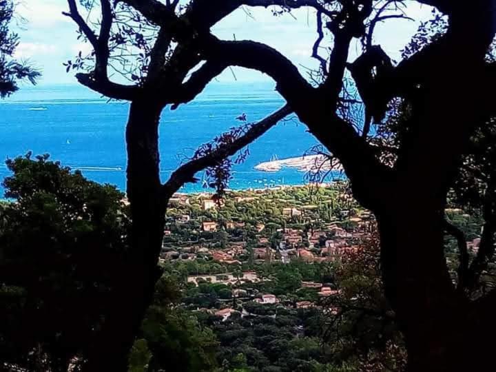 NOUVEAU ! Chambre d'Hôte Insolite PRIVEE " CŒURS DE PIRATES à BALI EN PROVENCE" SPA SAUNA MASSAGES dans cadre EXOTIQUE d'Aménagements EXTÉRIEURS D'EXCEPTION ÉTÉ comme HIVER BIENVENUE !!! - 2
