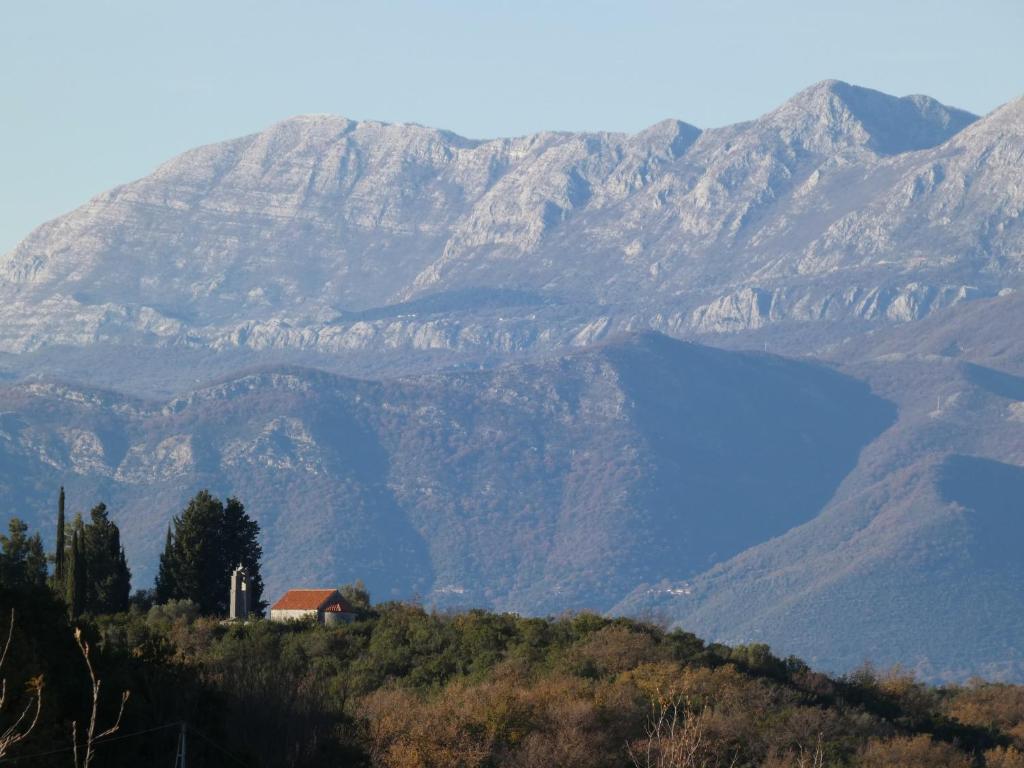 Apartments Tripoint Kotor - 2