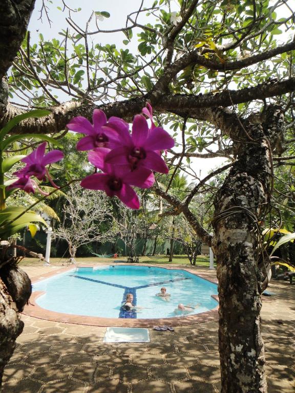 Ypsylon Tourist Resort photo