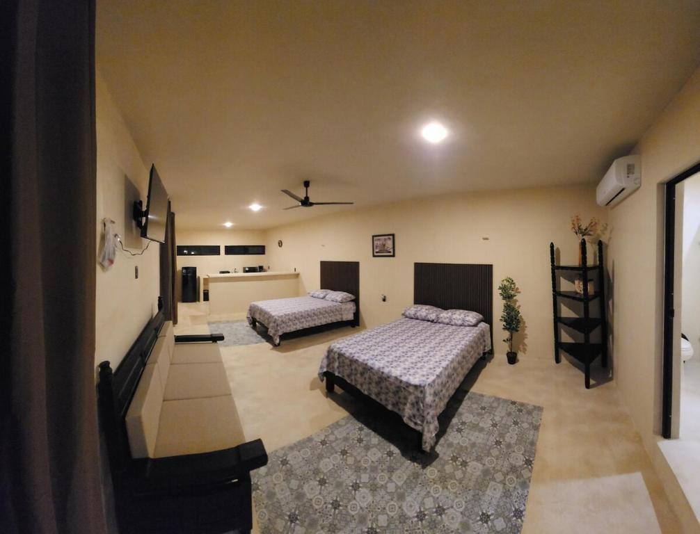 Casa Robinson 5 - 2