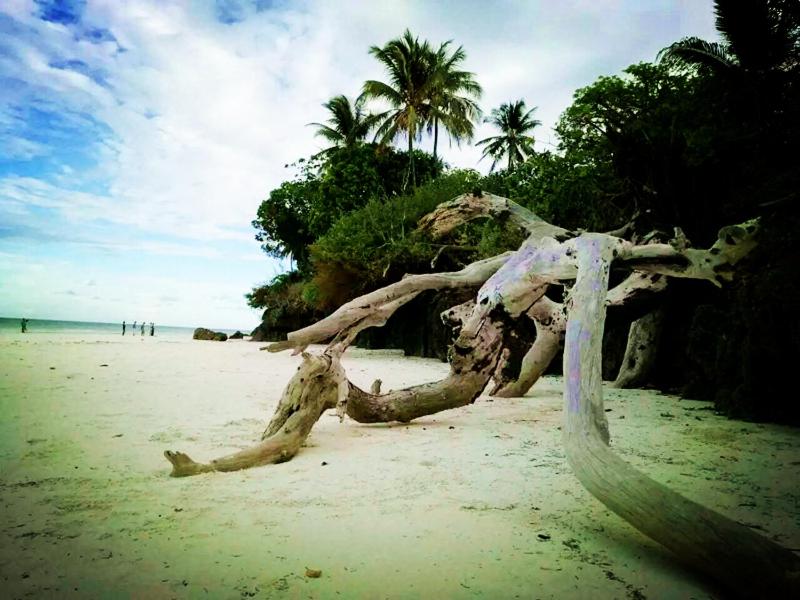 Diani Hostel photo