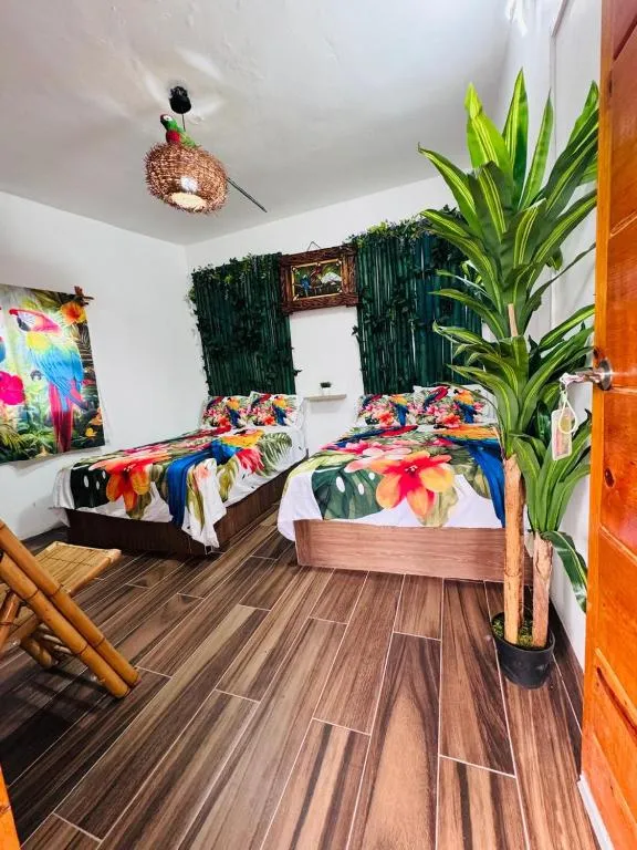 Refugio de las Aves, Hotel in Chachalacas