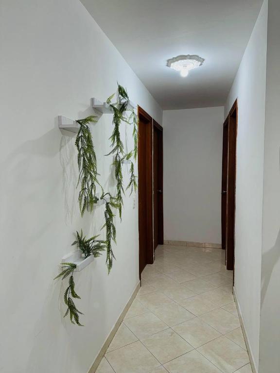 ESPECTACULAR APARTAMENTO SECTOR LAURELES ESTADIO 3 HABITACIONES hasta 7 personas - 3