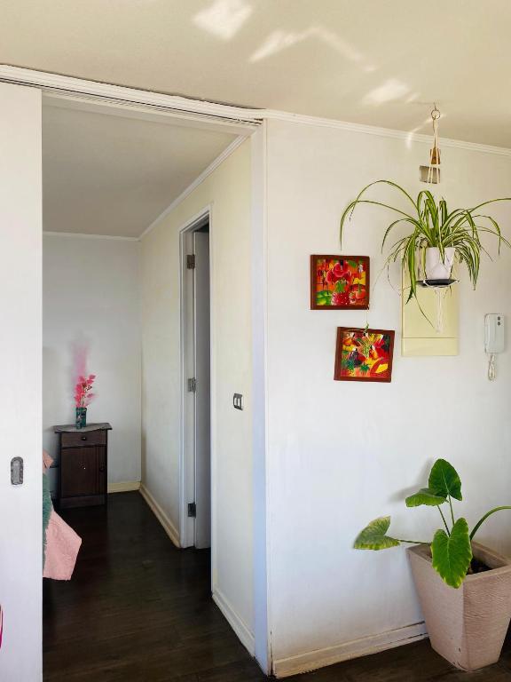 Departamento completo vista a la cordillera - 4