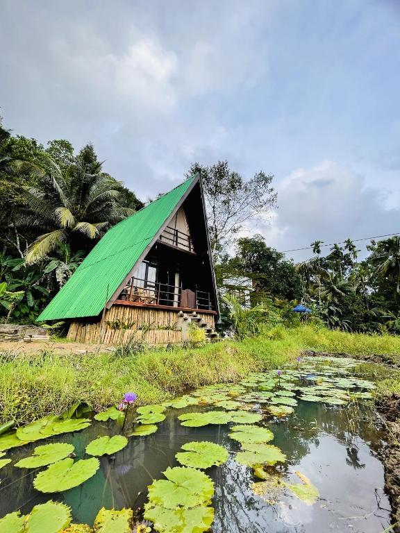 The wilds Sinharaja, Deniyaya