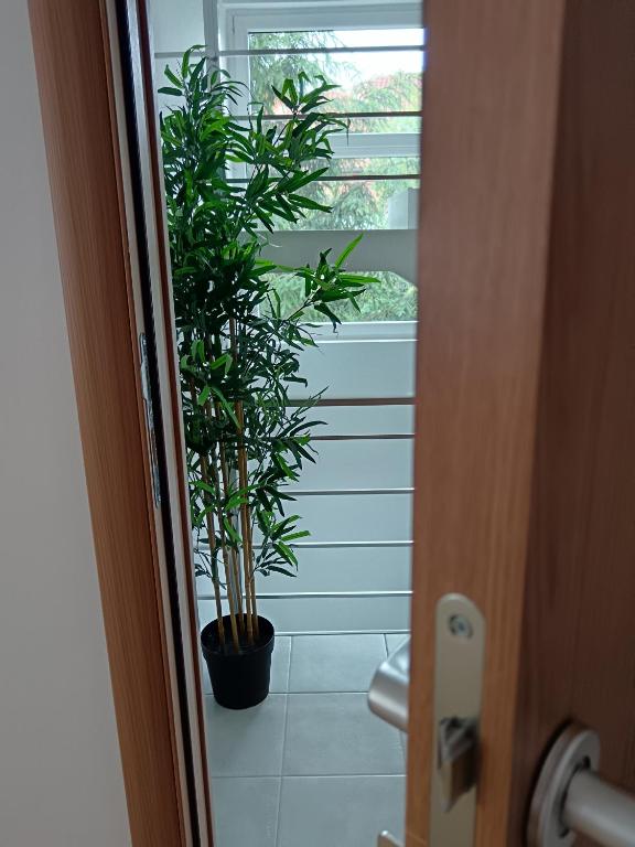 Apartmani Kale - 2