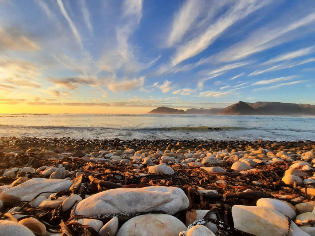 In a Forest by the Sea, Kommetjie