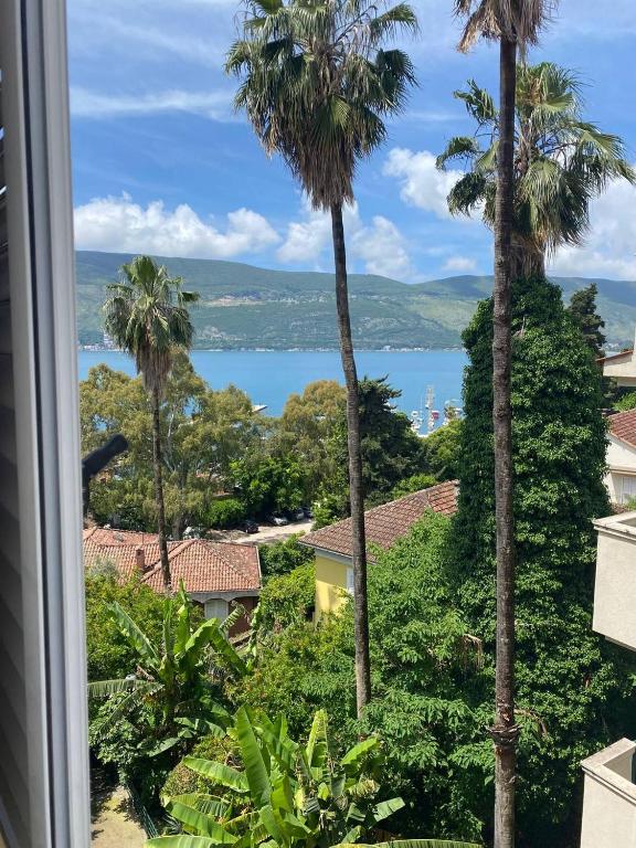 Old Town Nest, Herceg-Novi