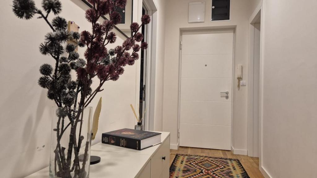 Luxurious apartment in the center of Belgrade - 4