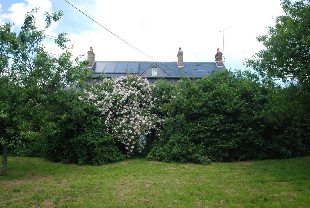 Le Neufbosc, Blacqueville