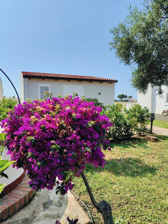 Sweet Sicily Apartments - 4