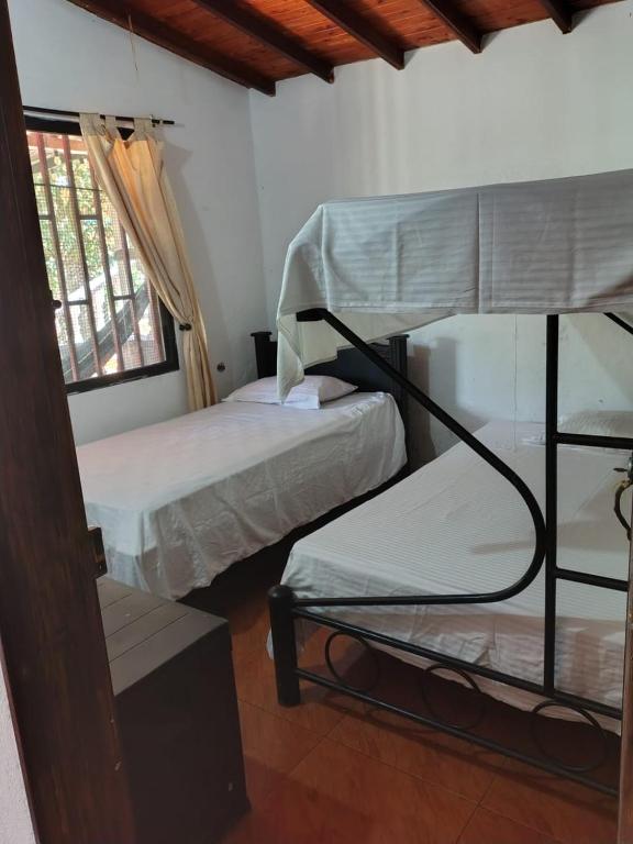 Casa Viva - 5
