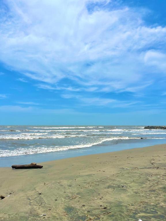 Beachfront Cabin with Private Pool - 3
