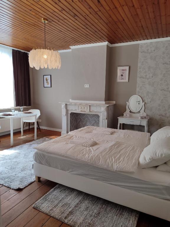 cosy studio, Antverpy