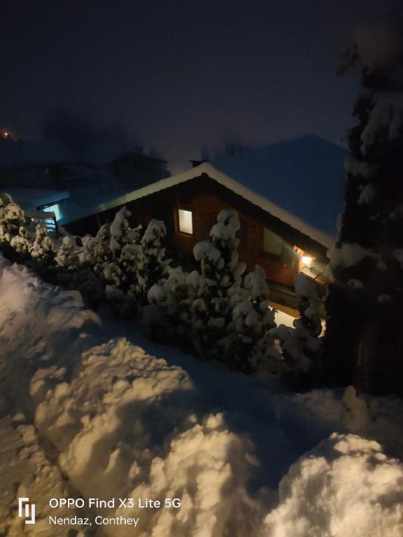 Alt'O Martinets 28, 1996 Basse-Nendaz - 4