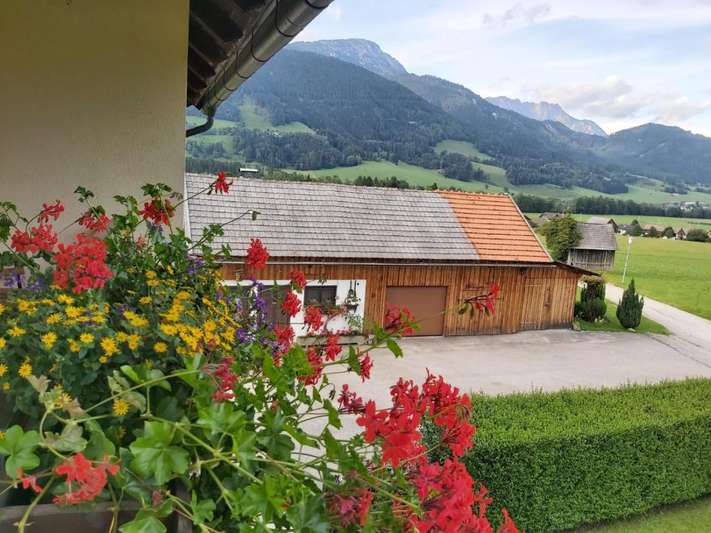 Appartment LuKi - 5