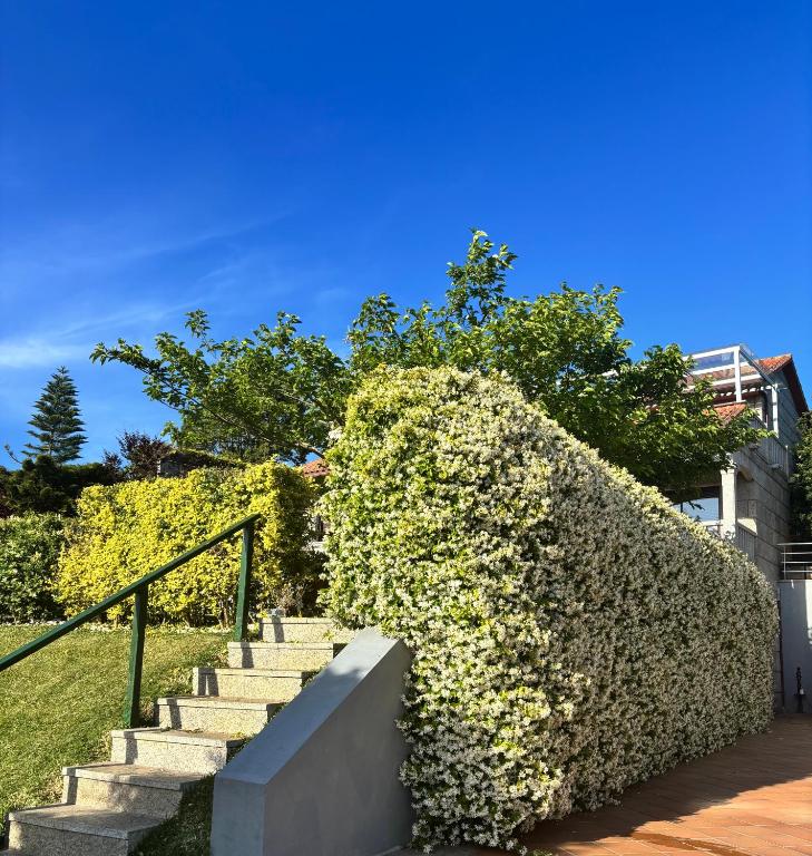 Villa Charneca, jardín y mar - 2