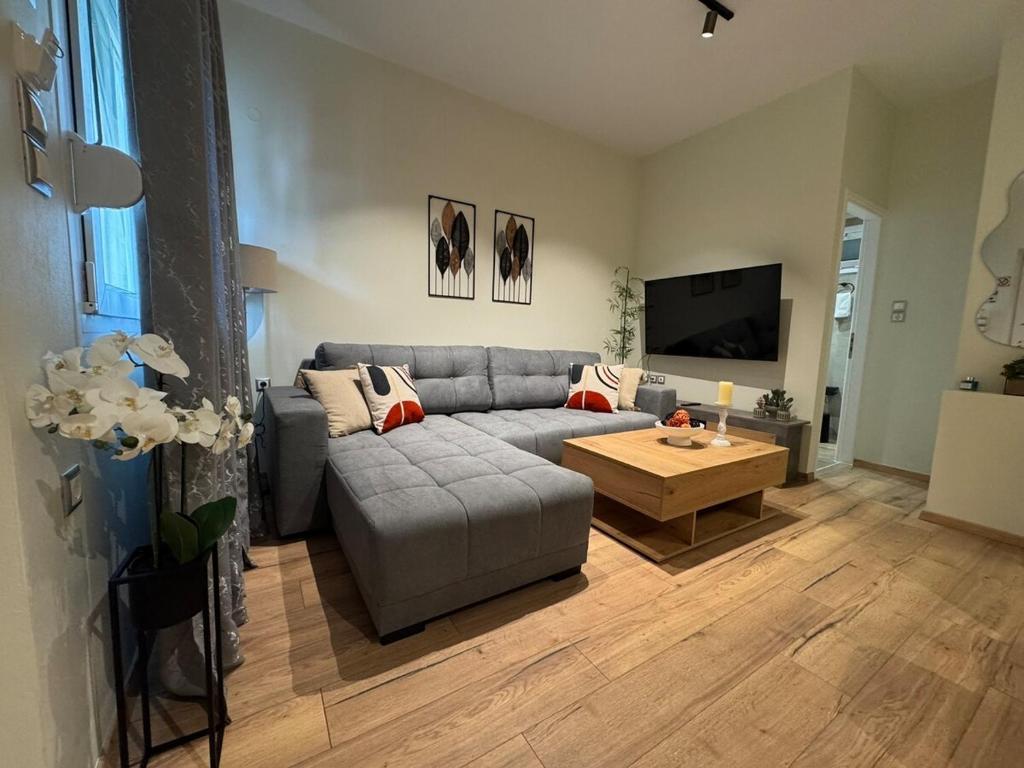 StellaR apt Ioannina, Anatolí