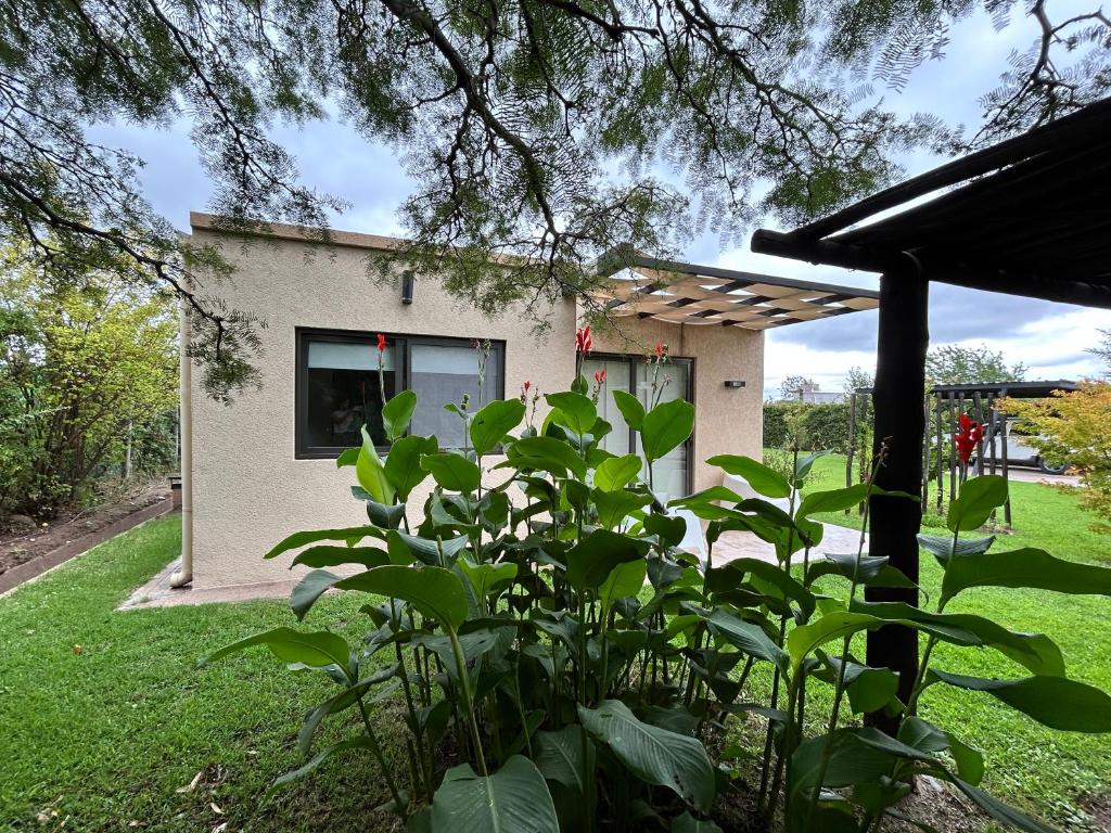 Loft Los Cerezos en VISTALBA, zona de viñedos y bodegas - 3