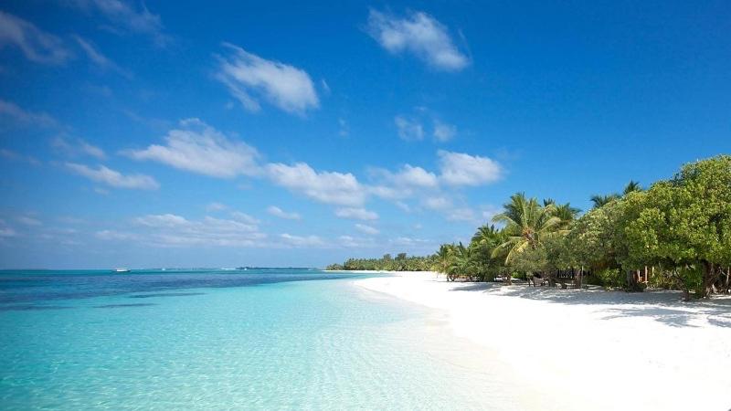 Moc Son Apartment - Attractive price for week and month stay - Serene Beachside Retreat Near Marble