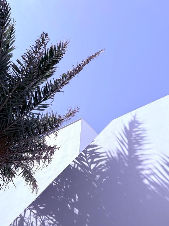 Surrounding environment