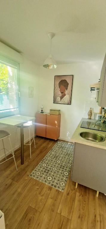 T1bis meublé cozy avec jardin et parking privé - 2