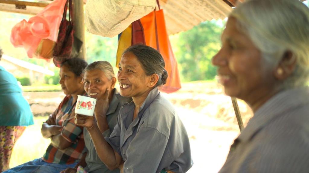 Saru Villa, Nikawatawana